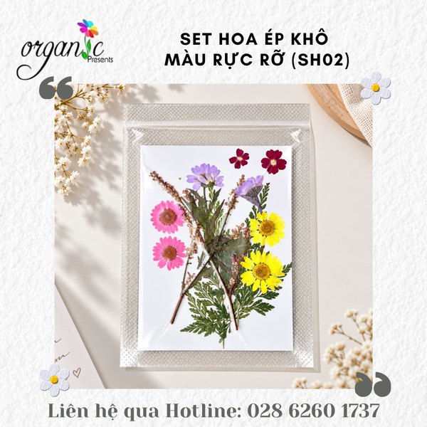 SET HOA ÉP KHÔ TRANG TRÍ ĐỒ HANDMADE (RỰC RỠ - SH02)