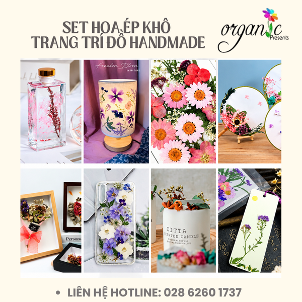 SET HOA ÉP KHÔ TRANG TRÍ ĐỒ HANDMADE (CỔ ĐIỂN - SH06)
