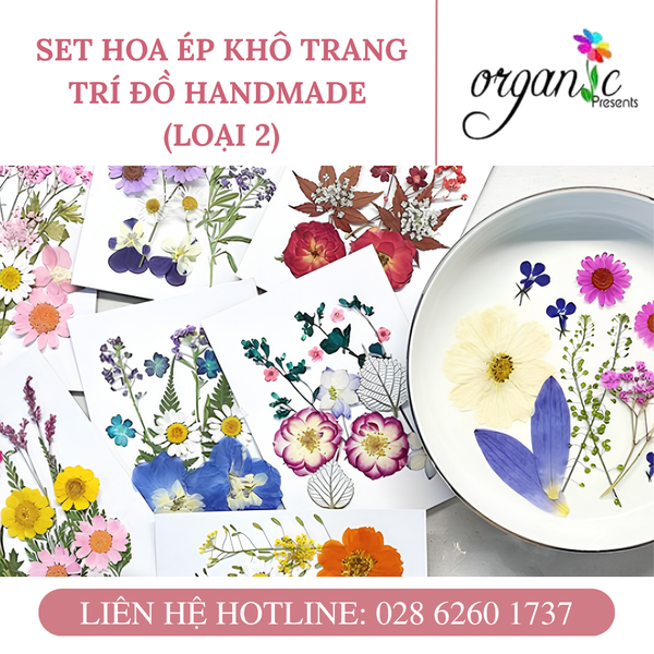 SET HOA ÉP KHÔ TRANG TRÍ ĐỒ HANDMADE (CỔ ĐIỂN - SH06)