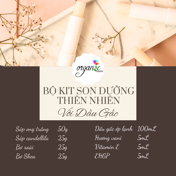 [KHỞI NGHIỆP] BỘ KIT LÀM 30 THỎI SON DƯỠNG MÔI THIÊN NHIÊN VỚI DẦU GẤC (KHÔNG DÙNG KHUÔN)