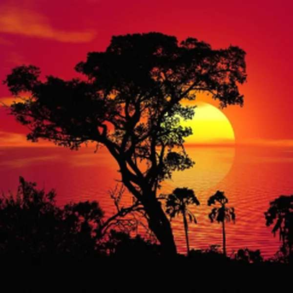 AFRICAN MUSK (HƯƠNG XẠ HƯƠNG CHÂU PHI)