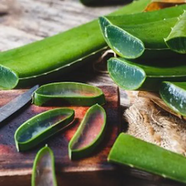 ALOE VERA (HƯƠNG NHA ĐAM)