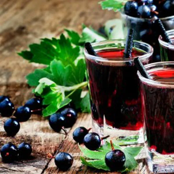 BLACK OAK CURRANT (HƯƠNG LÝ CHUA ĐEN)