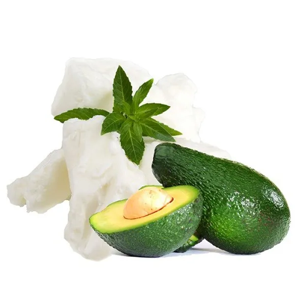 Bơ quả bơ Mỹ
