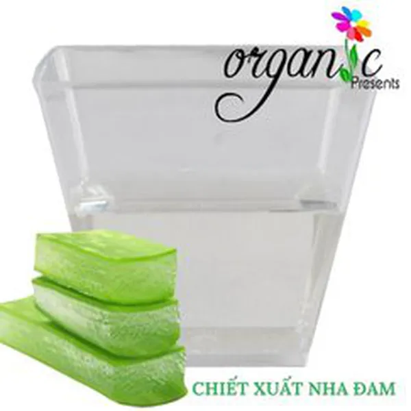 CHIẾT XUẤT NHA ĐAM (VIỆT NAM) (1)