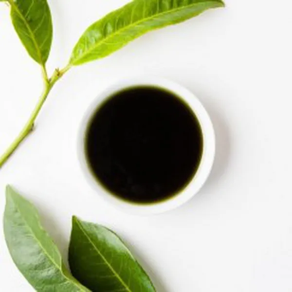 DẦU MÙ U