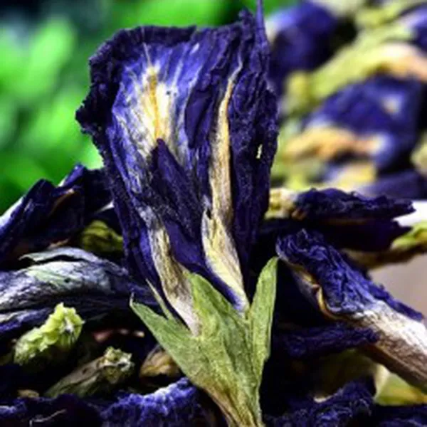 HOA ĐẬU BIẾC KHÔ (DRIED BUTTERFLY PEA)