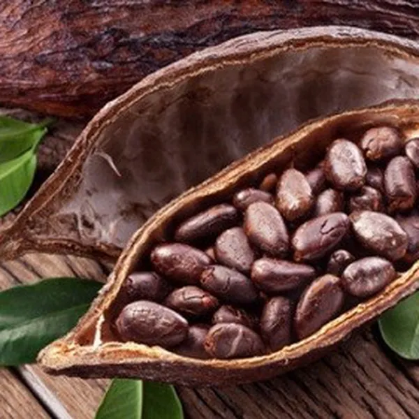 HƯƠNG CACAO TỰ NHIÊN