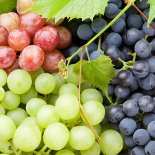 NHO (GRAPE FR)