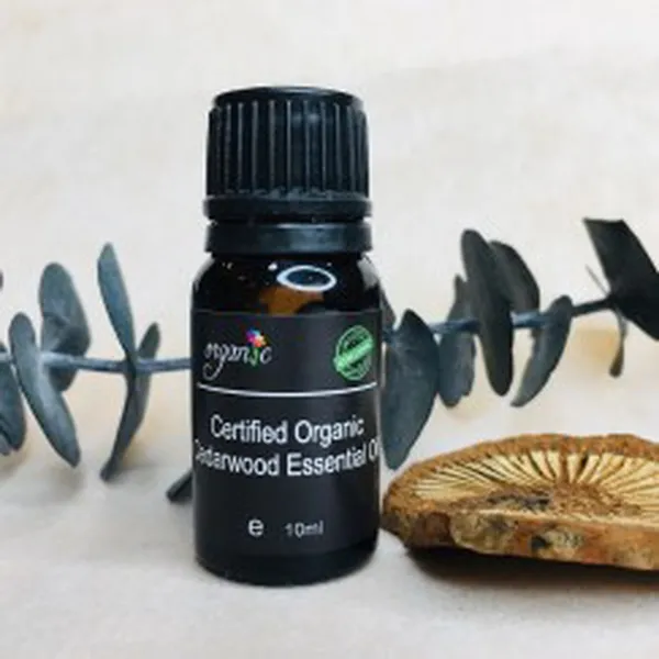 TINH DẦU HOÀNG ĐÀN / TUYẾT TÙNG HỮU CƠ (ORGANIC CEDARWOODESSENTIAL OIL)