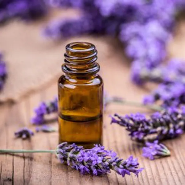 TINH DẦU OẢI HƯƠNG ẤN ĐỘ (LAVENDER)
