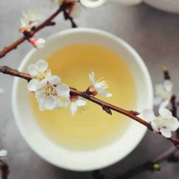 TINH DẦU TRÀ TRẮNG (WHITE TEA)