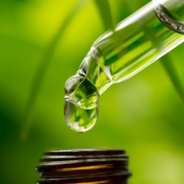 TINH DẦU TRÀ XANH (GREEN TEA)