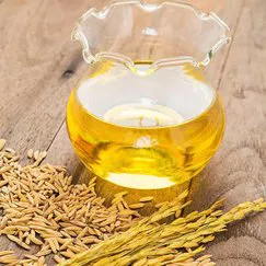 DẦU CÁM GẠO (Ý)
