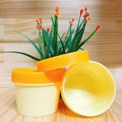 HŨ NHỰA 50G (VÀNG)