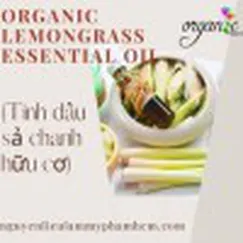 TINH DẦU SẢ CHANH HỮU CƠ (ORGANIC LEMONGRASS ESSENTIAL OIL)
