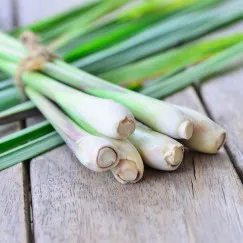 TINH DẦU SẢ CHANH HỮU CƠ (ORGANIC LEMONGRASS ESSENTIAL OIL)