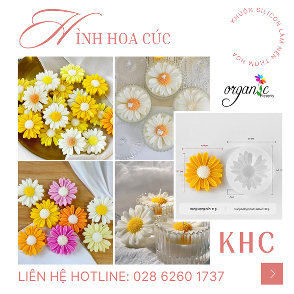 KHUÔN SILICON LÀM NẾN THƠM HÌNH HOA CÚC (KHC)