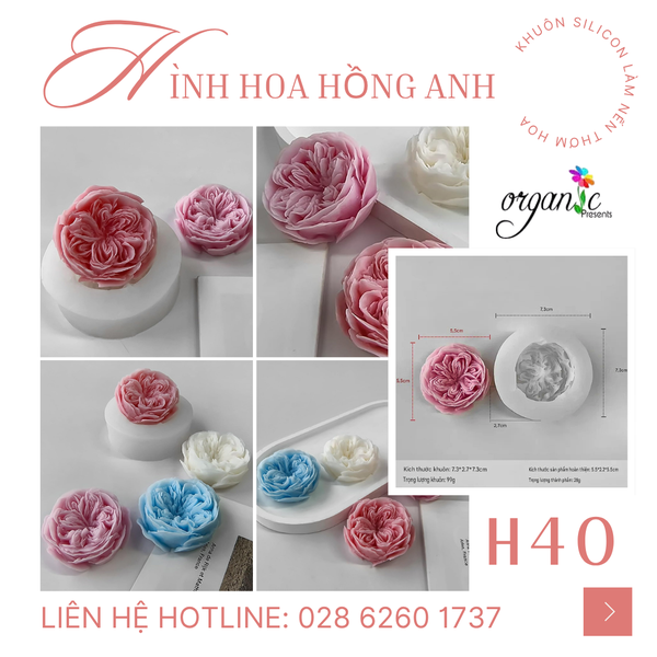 KHUÔN SILICON LÀM NẾN THƠM HÌNH HOA HỒNG ANH (H40)
