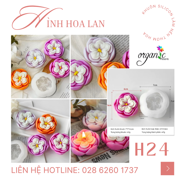 KHUÔN SILICON LÀM NẾN THƠM HÌNH HOA LAN (H24)