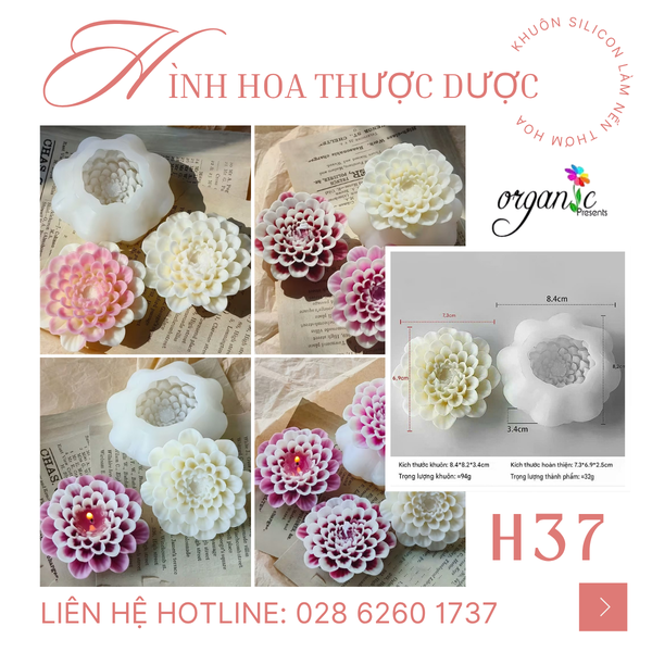 KHUÔN SILICON LÀM NẾN THƠM HÌNH HOA THƯỢC DƯỢC (H37)