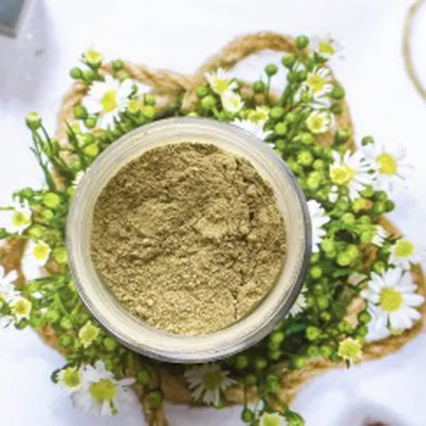 BỘT MẶT NẠ THUỐC BẮC (TRỊ MỤN)