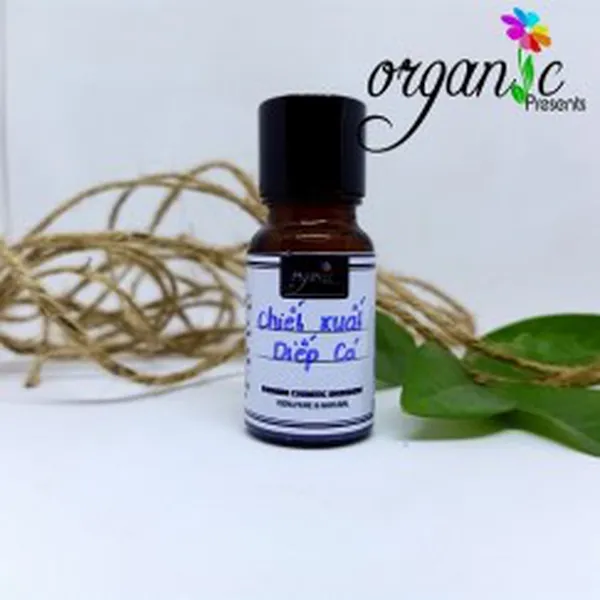 CHIẾT XUẤT DIẾP CÁ