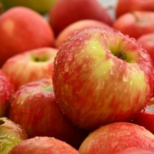 CHIẾT XUẤT TÁO (APPLE)