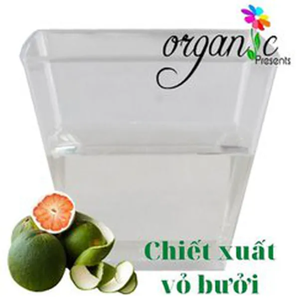 CHIẾT XUẤT VỎ BƯỞI (VIỆT NAM)