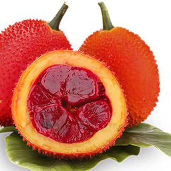 DẦU GẤC (VIỆT NAM)