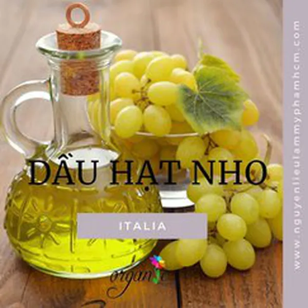 DẦU HẠT NHO (Ý)