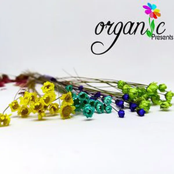 HOA LỤA TRONG SON THẠCH