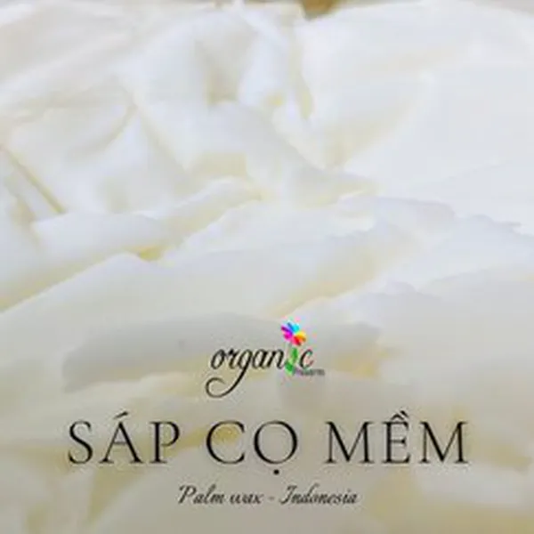 SÁP CỌ MỀM (PALM WAX)