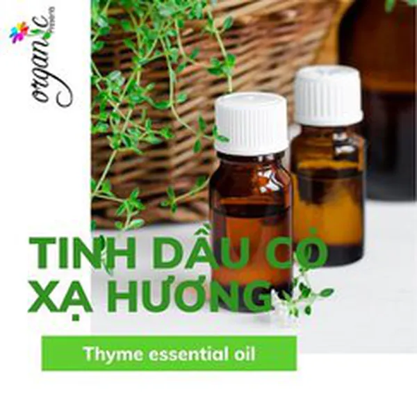 TINH DẦU CỎ XẠ HƯƠNG (THYME)