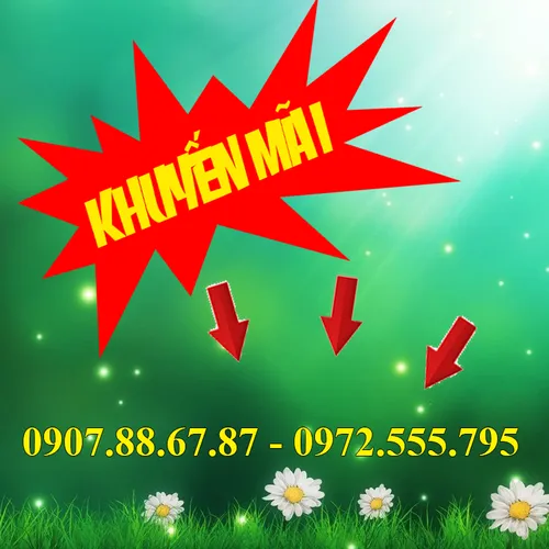 Chương trình khuyến mãi giảm 15% khi sử dụng gói dịch vụ đăng tin rao vặt tại Viễn Thông Kết Nối