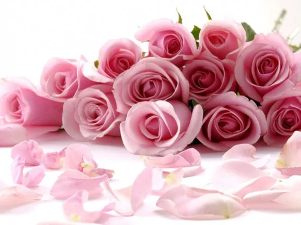 20/10 ĐẦU TIÊN CỦA CHÀNG  VÀ TUI