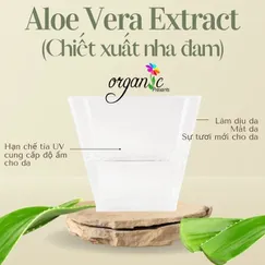 ALOE VERA EXTRACT (CHIẾT XUẤT NHA ĐAM - PHÁP)