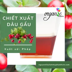 BEARBERRY EXTRACT (CHIẾT XUẤT DÂU GẤU - PHÁP)