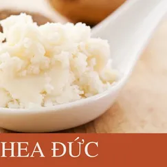 BƠ SHEA TINH CHẾ (ĐỨC)