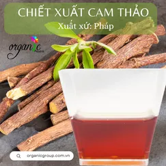 LICORICE ROOT EXTRACT (CHIẾT XUẤT CAM THẢO - PHÁP)