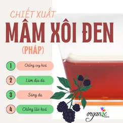 BLACKBERRY FRUIT EXTRACT (CHIẾT XUẤT QUẢ MÂM XÔI ĐEN - PHÁP)