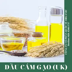 DẦU CÁM GẠO (UK)