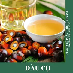 DẦU CỌ (MALAYSIA)