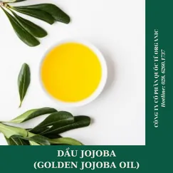 DẦU JOJOBA (GOLDEN JOJOBA OIL)