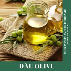 DẦU OLIVE (Ý)