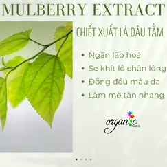 MULBERRY EXTRACT (CHIẾT XUẤT DÂU TẰM - PHÁP)