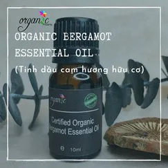 TINH DẦU CAM HƯƠNG HỮU CƠ (ORGANIC BERGAMOT ESSENTIAL OIL)