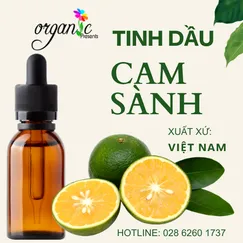 TINH DẦU CAM SÀNH (VIỆT NAM)