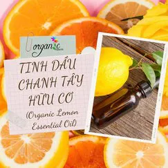 TINH DẦU CHANH TÂY HỮU CƠ (ORGANIC LEMON ESSENTIAL OIL)