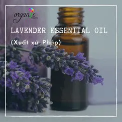 TINH DẦU OẢI HƯƠNG PHÁP (LAVENDER)